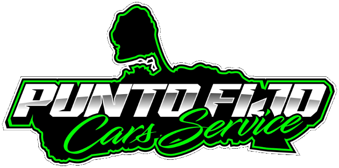 Punto Fijo Cars Service